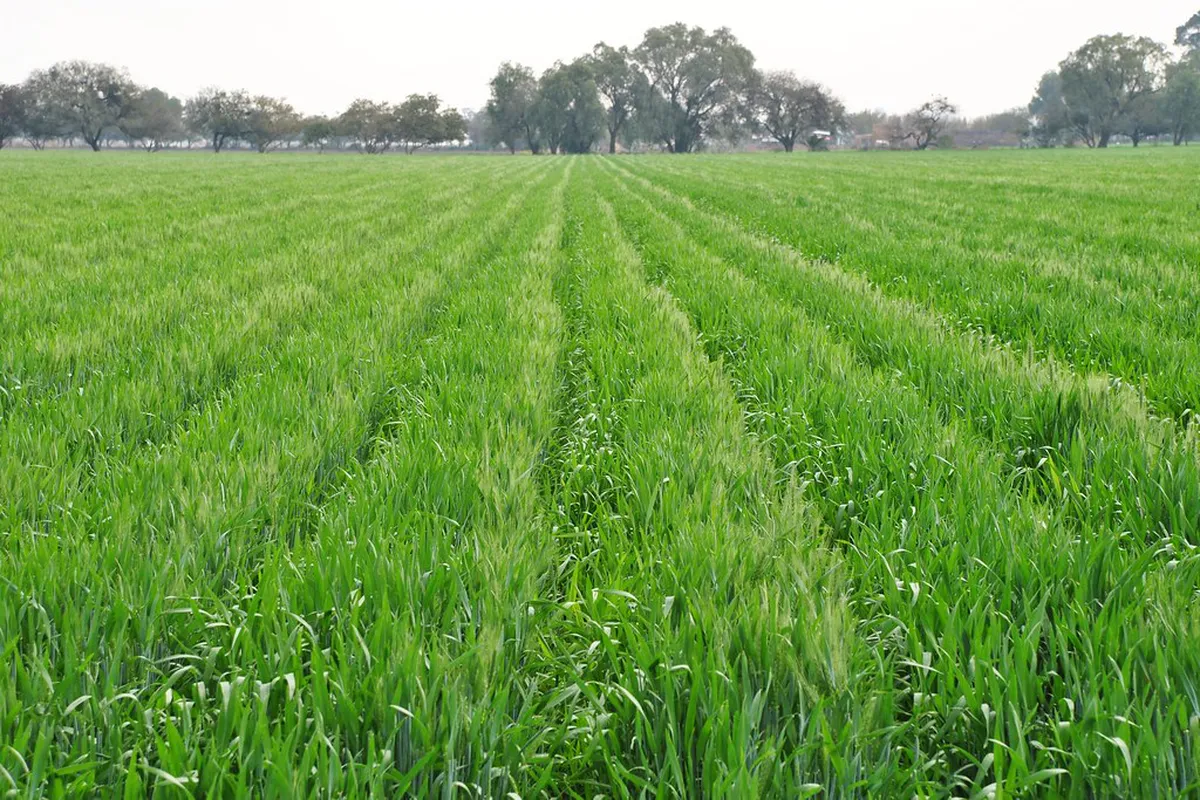 10 Best Spots for Plant Based Food in Plzeň Center