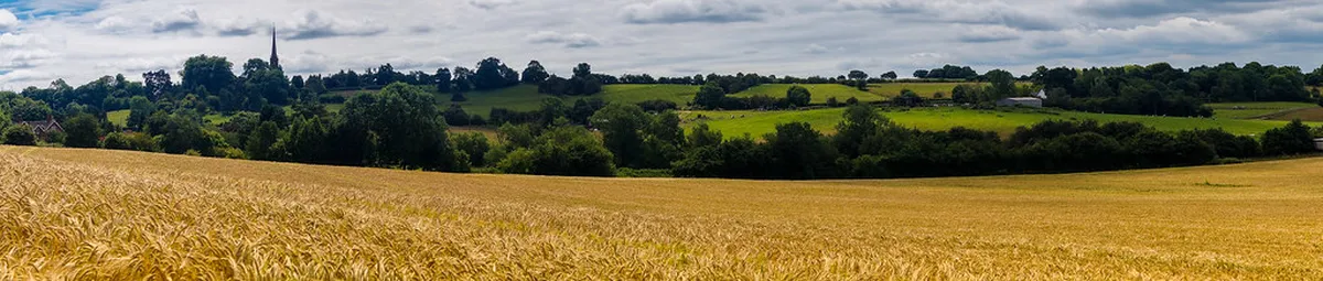 Climb the St Bartholomew Cathedral Tower Steps in Plzeň